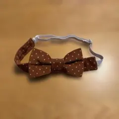 ドット柄蝶ネクタイ