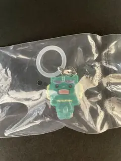 【匿名発送】JOCHUM ヤヌカミ めじるしアクセサリー