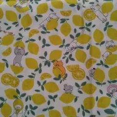 オックス生地 1m