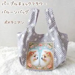 Item thumbnail for item ca421322-5f3c-48d8-9f9f-1b7835310717