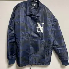 Item thumbnail for item 51e40342-02f8-42a6-bd58-60249c94ce41