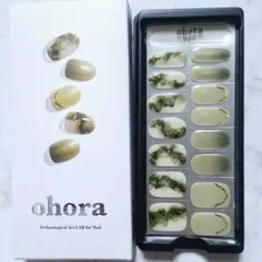★ohora★オホーラネイルシール15枚★N Glimmering Leaf②