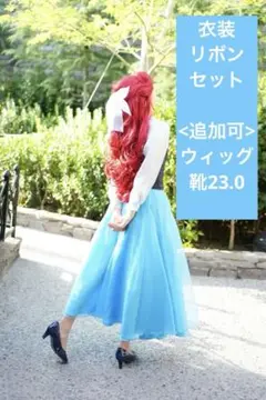限定値下⭐︎ディズニー⭐︎リトル・マーメイド⭐︎アリエル⭐︎ウィッグ以外セット⭐︎Dハロ アリエル リトルマーメイド ウィッグ Dハロ 仮装 アリエル風
