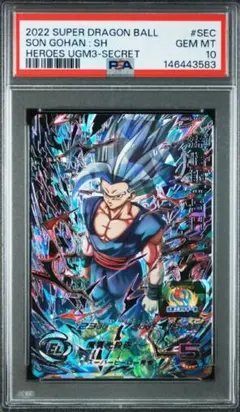 流*星様 psa10 孫悟空 BM6−sec3 スーパードラゴンボールヒーロー