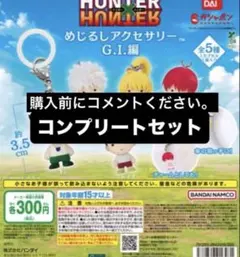 HUNTER×HUNTER めじるしアクセサリー G.I.編 コンプリート