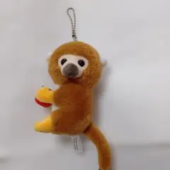 リスザル アドベンチャーワールド　ぬいぐるみ マスコット ボールチェーン