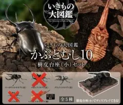 いきもの大図鑑　かぶとむし１０　樹皮台座（小）セット 2種