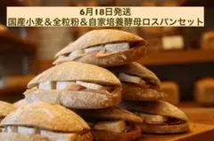 2品出品　6月18日発送　国産小麦＆全粒粉＆自家培養酵母ロスパンセット②のサムネイル
