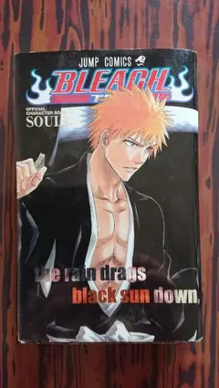 BLEACH THE REBOOTED SOULS 特別冊子 - メルカリ