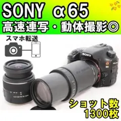 2026年最新】sony α65の人気アイテム - メルカリ
