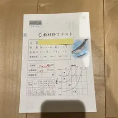 2026年最新】公文 教材終了テストの人気アイテム - メルカリ