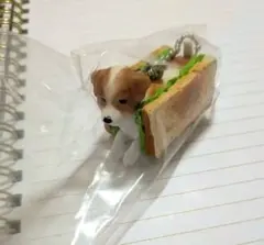 犬のパン包み カプセルトイ いぬぱん ガチャガチャ