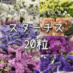 てふてふ様 リクエスト 2点 まとめ商品