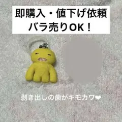 【ファグラー】 めじるしアクセサリー　スクウィッジ