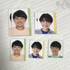 Item thumbnail for item 95111fd1-2c12-418c-97d4-46d318f1b26e