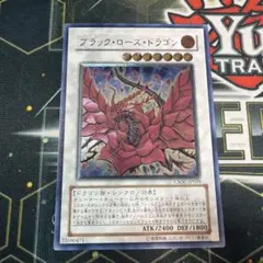 2026年最新】アルティメット ブラックローズの人気アイテム - メルカリ