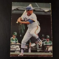 カルビープロ野球カード鈴木孝政2枚セット カルビープロ野球カード1978年/鈴木孝政/中日ドラゴンズ - 港書房