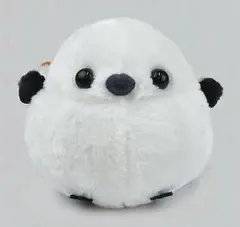 Item thumbnail for item dedb009a-655b-4602-9bc6-fa6e8130b08e