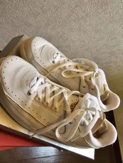 貴重エアジョーダン2 RETRO LOW 2005年復刻版