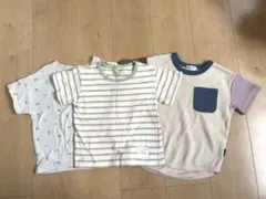 petitmain プティマイン　半袖　Tシャツ　3枚セット　恐竜　ボーダー