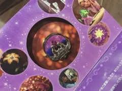 ディズニーカードクラブ ピンバッジ2025