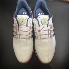 Item thumbnail for item 4ed1bf76-fd2a-47b2-9f9b-bc66b9f2b84b