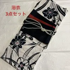 Item thumbnail for item 6614614e-0b99-4a5b-be4b-26fd41fa0d65