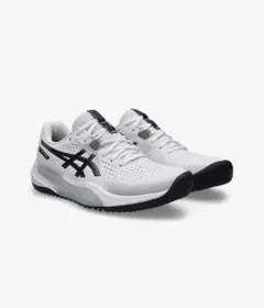 asics GEL-CHALLENGER 15 OC 26.0cmのサムネイル