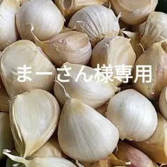 まーさん様専用