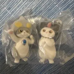 ウルトラマンだにゃん