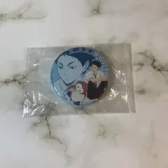 ハイキュー　アニマルマスコット　缶バッジ　ガチャガチャ　アカアシフクロウ　赤葦