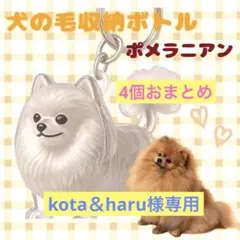 再入荷 ポメラニアン 愛犬 毛玉入れ 収納 キーホルダー けだまだま かわいい