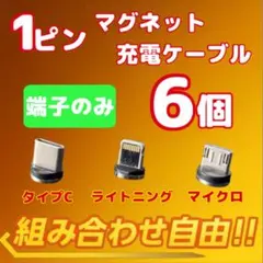 【超激安】便利 選べる端子 マグネット充電ケーブル端子 6個 アダプター