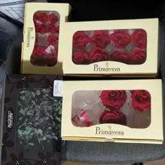 2026年最新】プリマヴェーラゴールドの人気アイテム - メルカリ