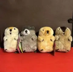 マーモットのもっとっとモア STぬいぐるみ