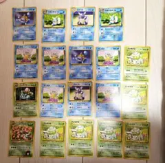 p*n様 ポケモンカード 旧裏 人気ポケモンまとめ