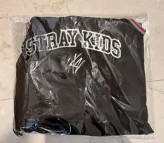 Stray kids Dominateアプグレ特典　未開封