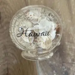 Hawaii ガラスキャニスター 貝殻入り