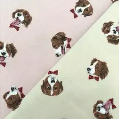 綿プリント　オックス　犬　コーイケルホンディエ　2色セット