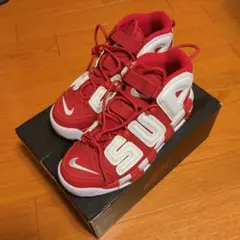 Item thumbnail for item 4949a09c-db2f-45b1-b8c1-fb487bee4a0a