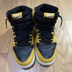 24.5cm Nike Air Jordan 1 Retro High OG