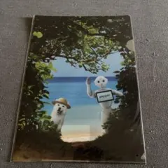 お父さんクリアファイル(2016夏)