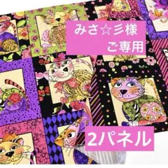 みさ☆彡様ご専用