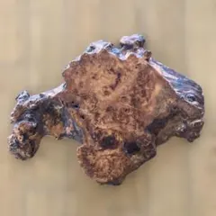 Item thumbnail for item 07f71389-852b-49cd-887a-1ca943af50a7