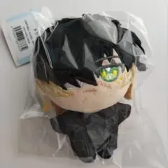 キラメモ ぬいパル ぬいぐるみ スロウダメージ トワ 藤枝 - メルカリ