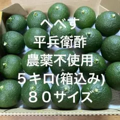 新鮮 へべす 5kg 平兵衛酢　宮崎　日向　露地栽培　 B品 新鮮 へべす 5kg 平兵衛酢 宮崎 日向 露地栽培 B品 - メルカリ
