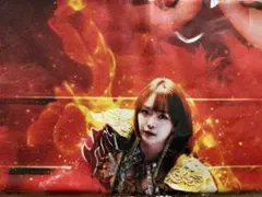 Sareee-ISM Chapter Ⅸ 特典タオル 非売品