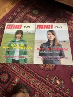 Item thumbnail for item 758936d6-b57e-4124-9956-e5c35275b326