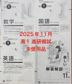 2025年11月高1年　進研模試　総合学力テスト　ベネッセ　未使用品過去問