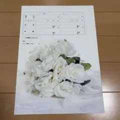 婚姻届　3枚セット